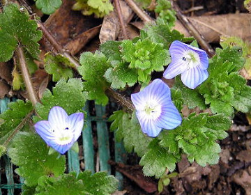 resize0190 resize0190